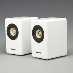 aune X3发烧3寸全频音箱 经典桌面Hi-Fi之选