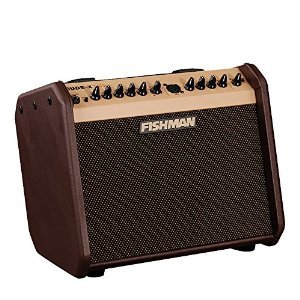 Fishman LOUDBOX MINI迷你便携音箱 让民谣吉他在不经意间惊艳全场